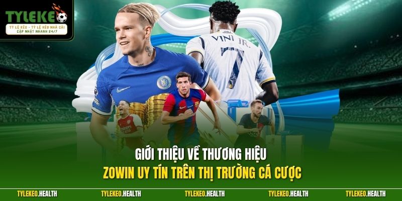 Giới thiệu về thương hiệu ZOWIN uy tín trên thị trường cá cược