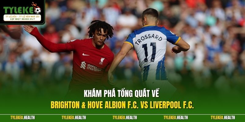 Khám phá tổng quát về Brighton & Hove Albion F.C. vs Liverpool F.C.